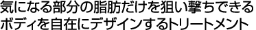 �C�ɂȂ镔���̎��b������_�������ł���{�f�B�����݂Ƀf�U�C������g���[�g�����g