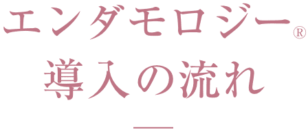 エンダモロジー導入の流れ