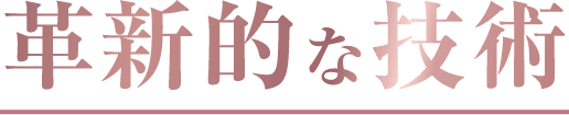 革新的な技術